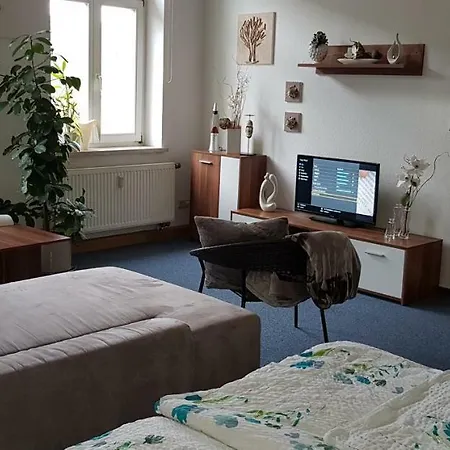 Апартаменты Im Herzen Reichenbachs *